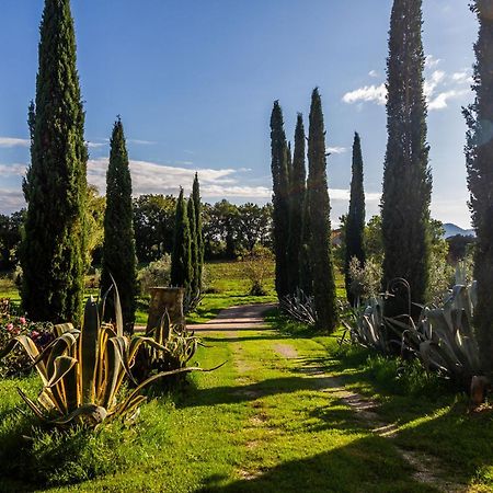 Agriturismo Bio Fattoria Casetta Gavorrano Bagian luar foto