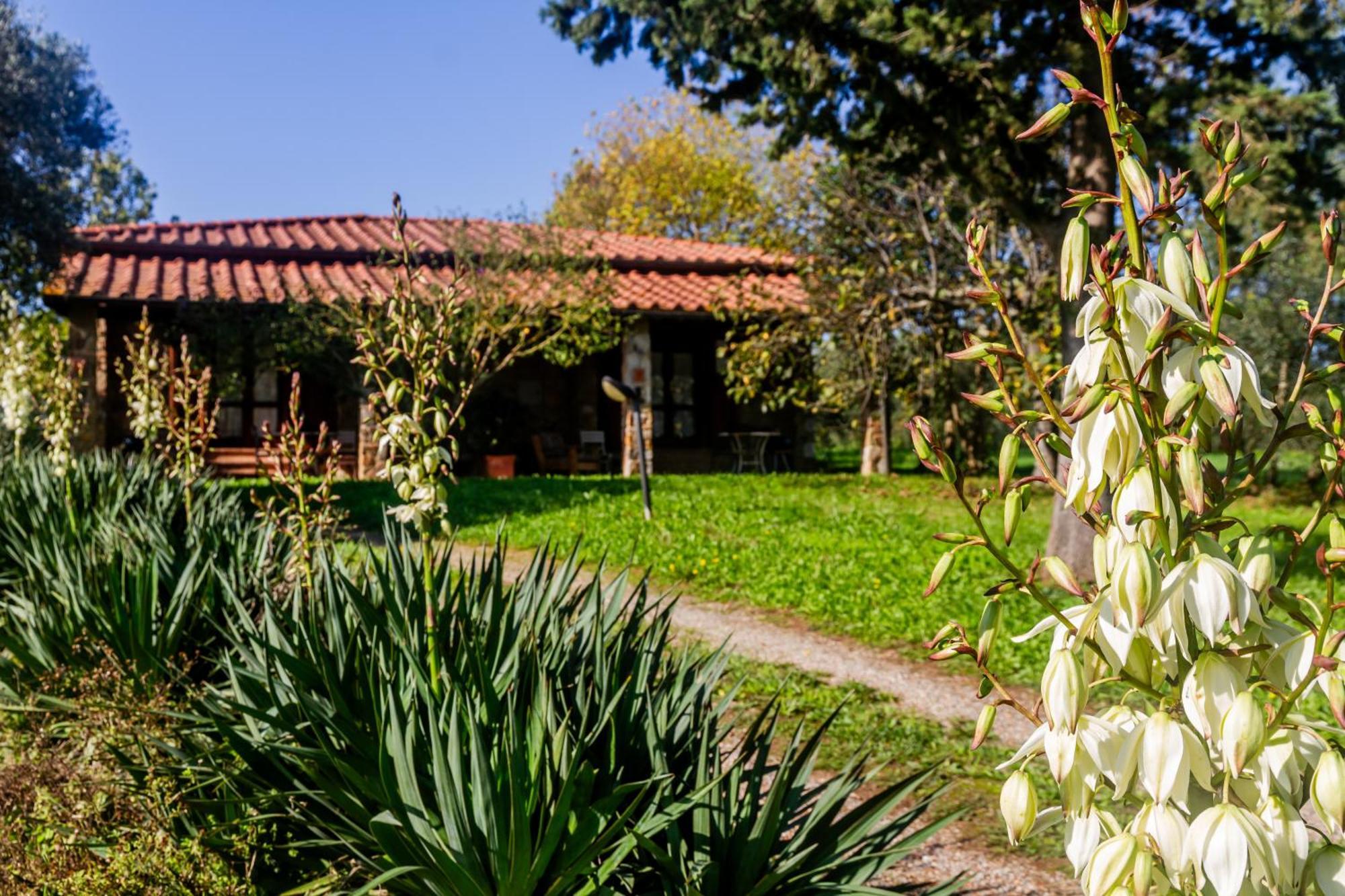 Agriturismo Bio Fattoria Casetta Gavorrano Bagian luar foto
