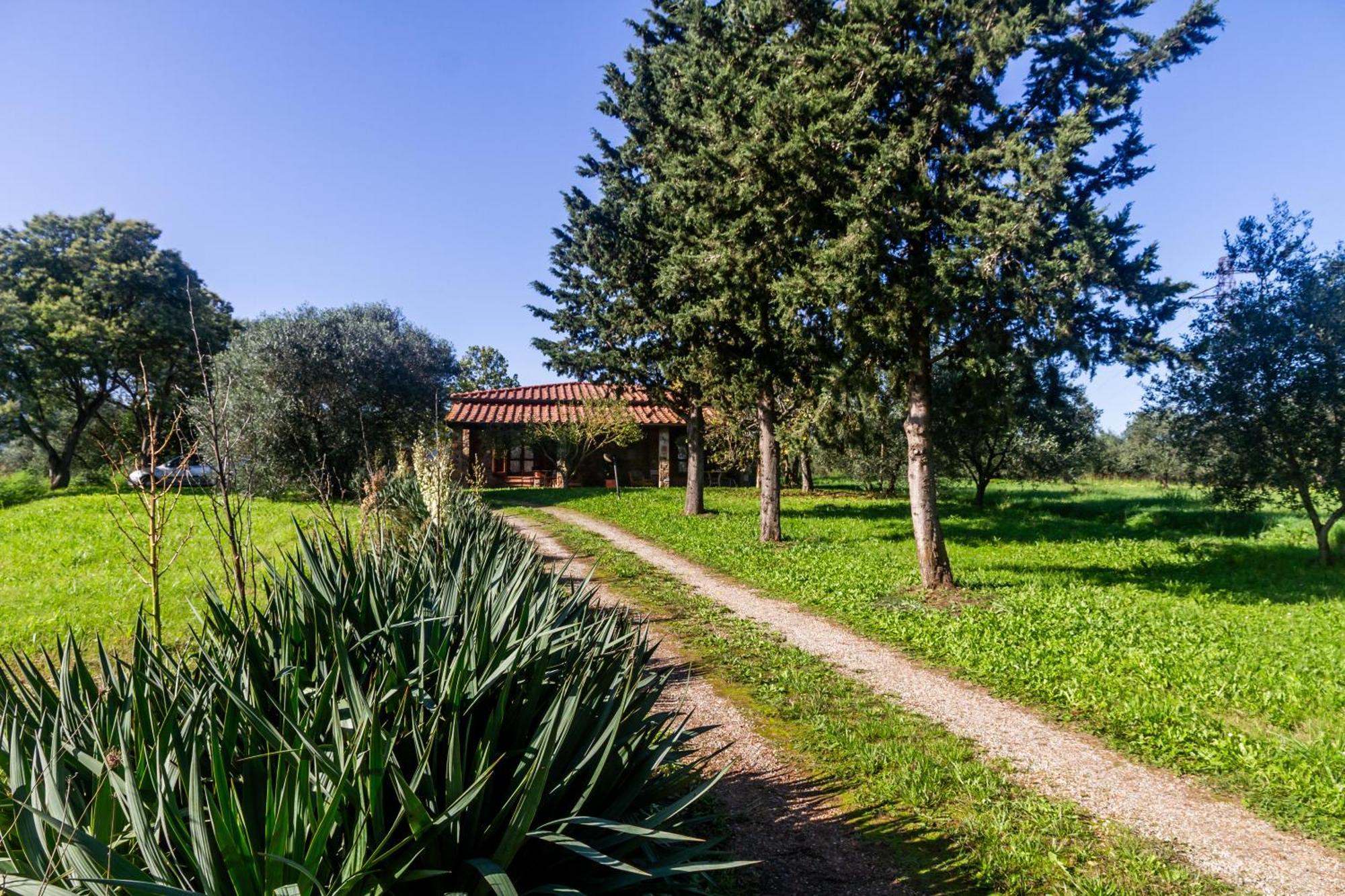 Agriturismo Bio Fattoria Casetta Gavorrano Bagian luar foto